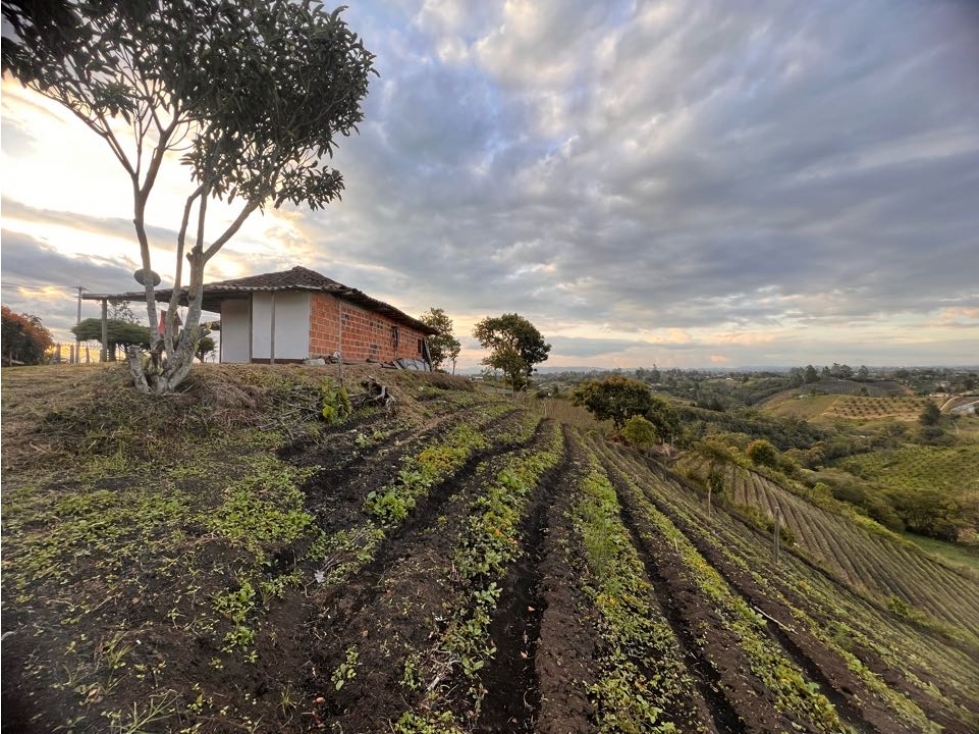 LINDA FINCA TRADICIONAL EN VENTA EXCELENTE UBICACIÓN- CARMEN VÍBORAL — foto 2