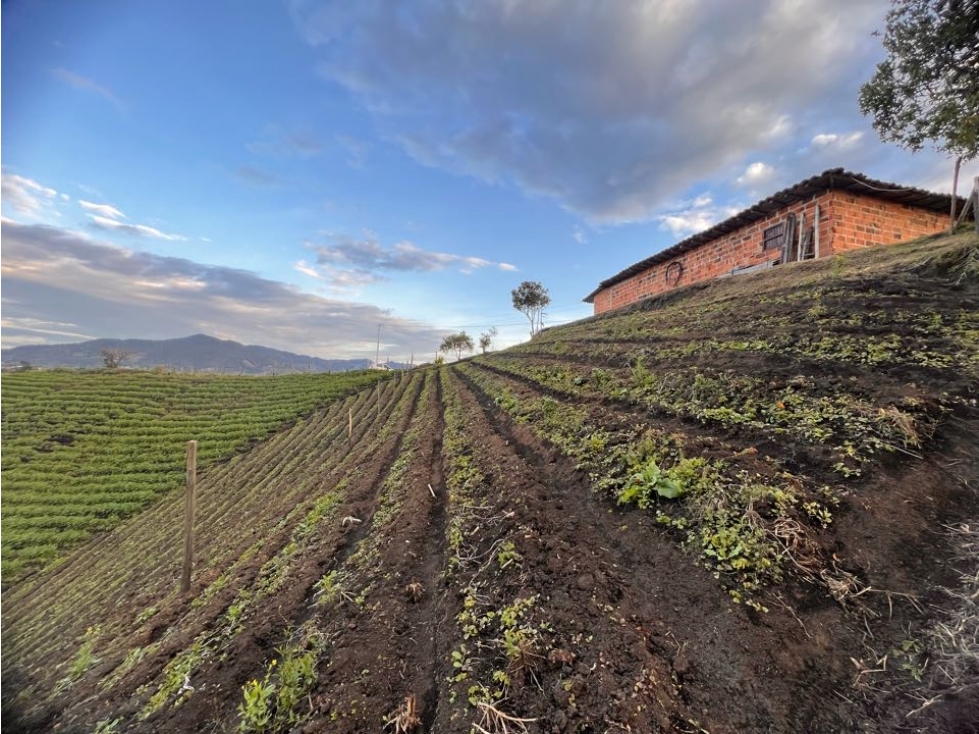 LINDA FINCA TRADICIONAL EN VENTA EXCELENTE UBICACIÓN- CARMEN VÍBORAL — foto 3