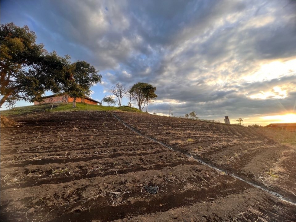LINDA FINCA TRADICIONAL EN VENTA EXCELENTE UBICACIÓN- CARMEN VÍBORAL — foto 4