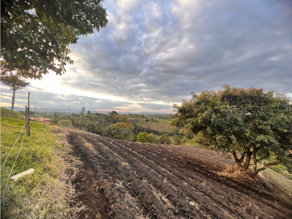LINDA FINCA TRADICIONAL EN VENTA EXCELENTE UBICACIÓN- CARMEN VÍBORAL — foto 5