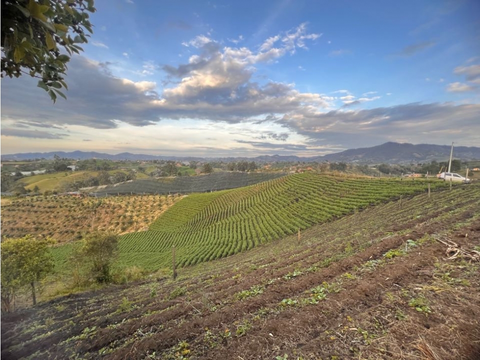 LINDA FINCA TRADICIONAL EN VENTA EXCELENTE UBICACIÓN- CARMEN VÍBORAL — foto 6