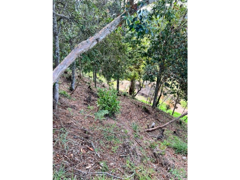 LINDO LOTE CON EXCELENTE VSITA EN VENTA EN RIONEGRO -SECTOR AEROPUERTO — foto 3