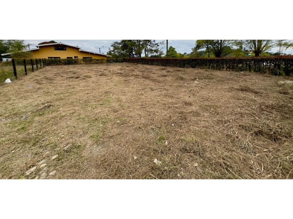 LINDO LOTE EN PROINDIVISO EN VENTA EN EL CARMEN DE VÍBORAL ANTIOQUIA — foto 2