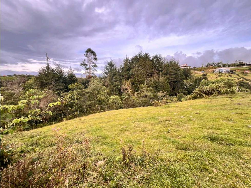 LINDO LOTE EN VENTA CON POSIBILIDAD DE APROVECHAMIENTO -CARMEN VIBORAL — foto 3