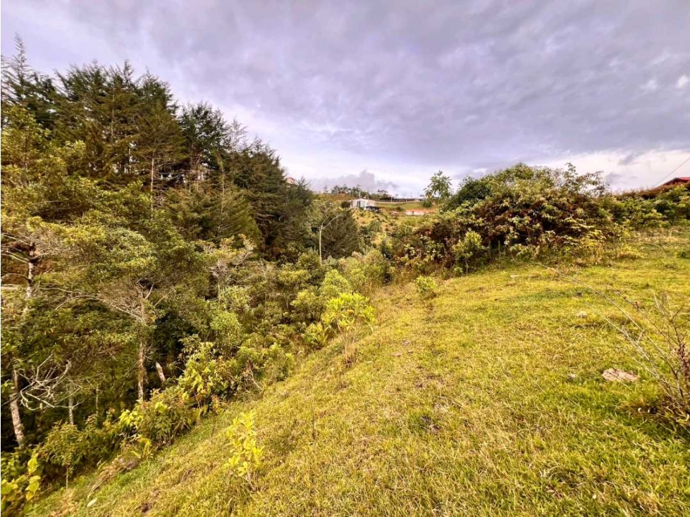 LINDO LOTE EN VENTA CON POSIBILIDAD DE APROVECHAMIENTO -CARMEN VIBORAL — foto 6
