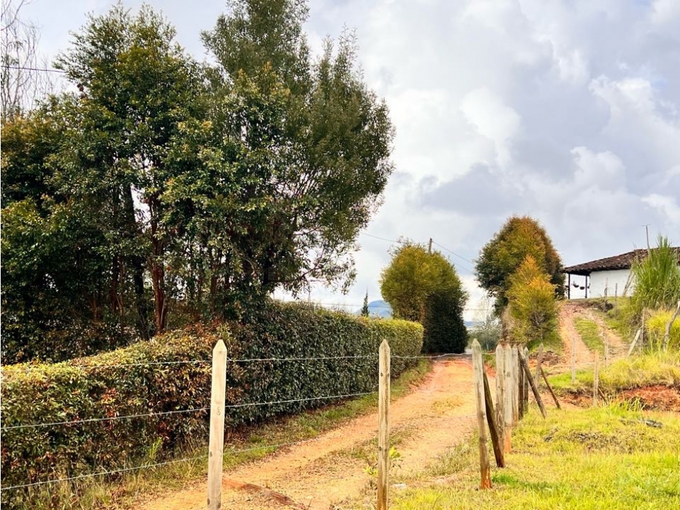 LINDO LOTE EN VENTA EN LA VEREDA SAMARÍA DEL CARMEN DE VÍBORAL ANTIOQU — foto 4