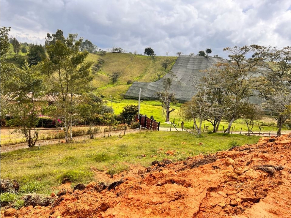 LINDO LOTE EN VENTA EN LA VEREDA SAMARÍA DEL CARMEN DE VÍBORAL ANTIOQU — foto 6