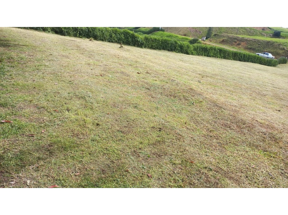 Lindo Lote en Venta en Parcelación Cerrada en El Municipio de La Ceja — foto 4
