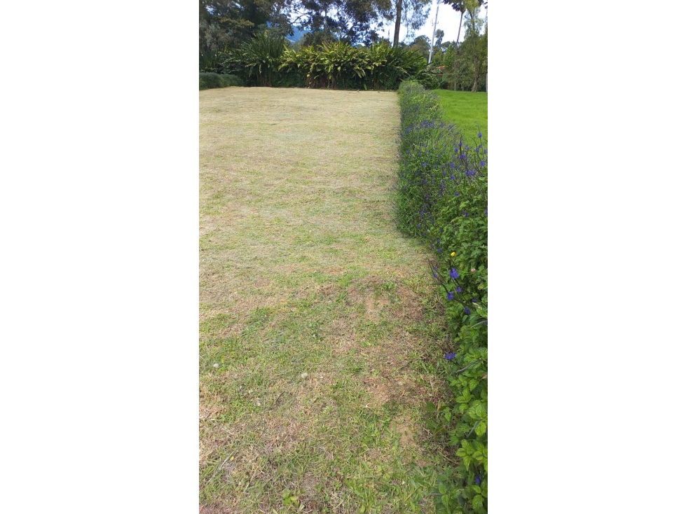 Lindo Lote en Venta en Parcelación Cerrada en El Municipio de La Ceja — foto 5