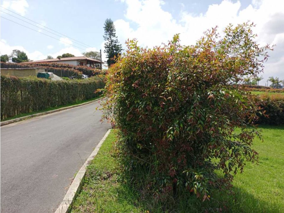 LINDO LOTE EN VENTA EN PARCELACIÓN CON EXCELENTE UBICACIÓN CARMEN VIB. — foto 3