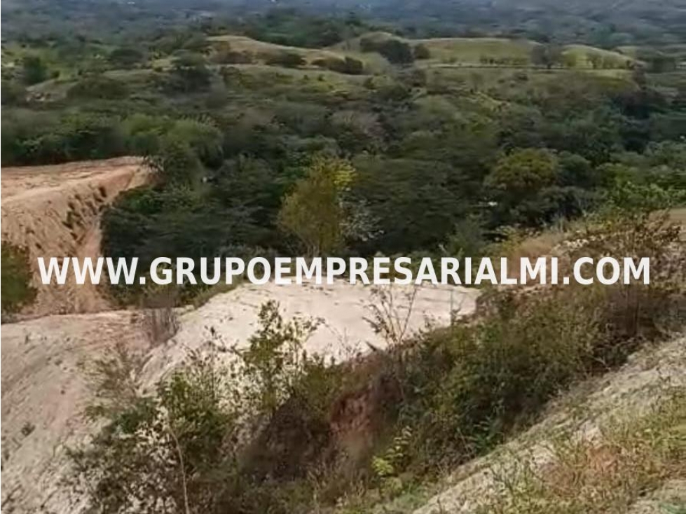 LINDO LOTE EN VENTA - SECTOR EL CIRUELAR COD: 33598