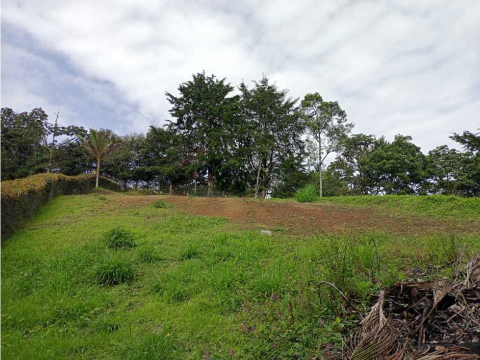 LINDO LOTE EN VENTA UBICADO EN LA VEREDA SAMARIA DEL CARMEN DE VÍBORAL — foto 3