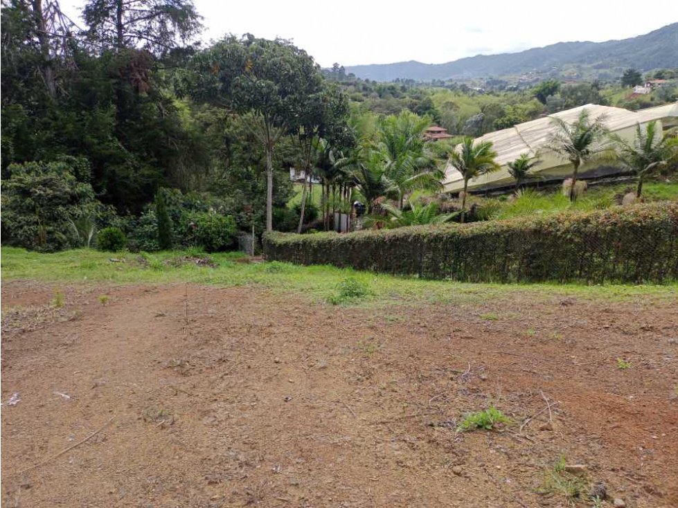 LINDO LOTE EN VENTA UBICADO EN LA VEREDA SAMARIA DEL CARMEN DE VÍBORAL — foto 5