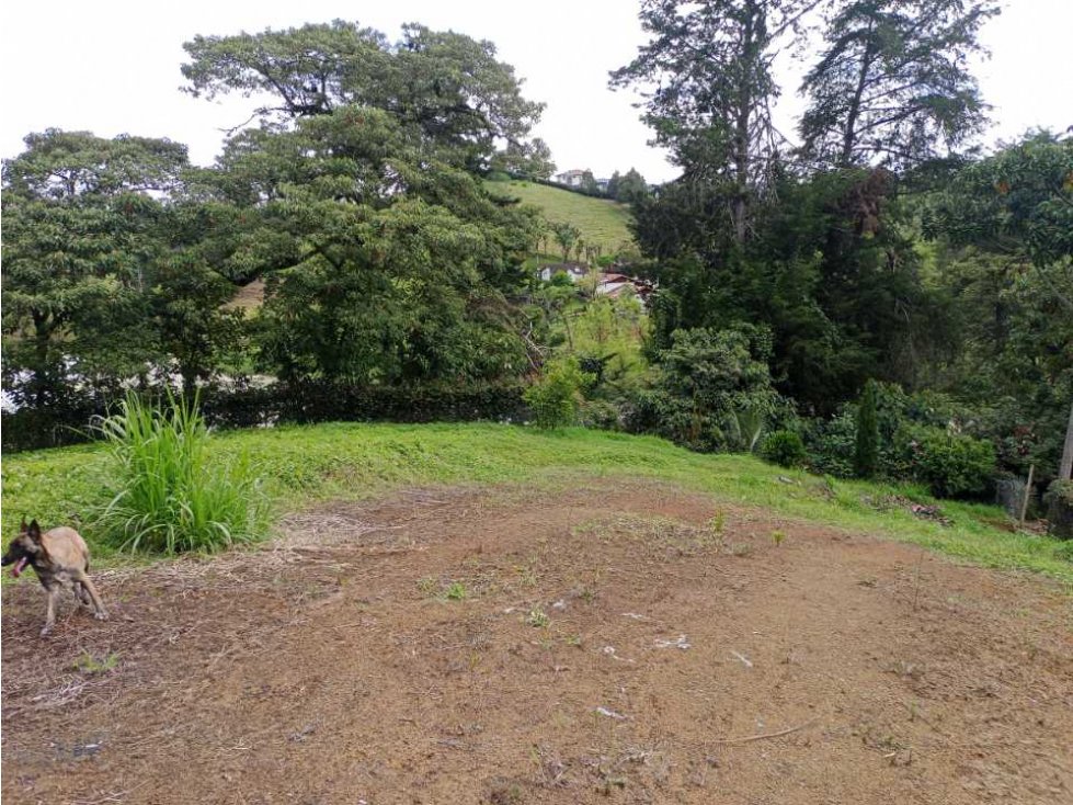 LINDO LOTE EN VENTA UBICADO EN LA VEREDA SAMARIA DEL CARMEN DE VÍBORAL — foto 6