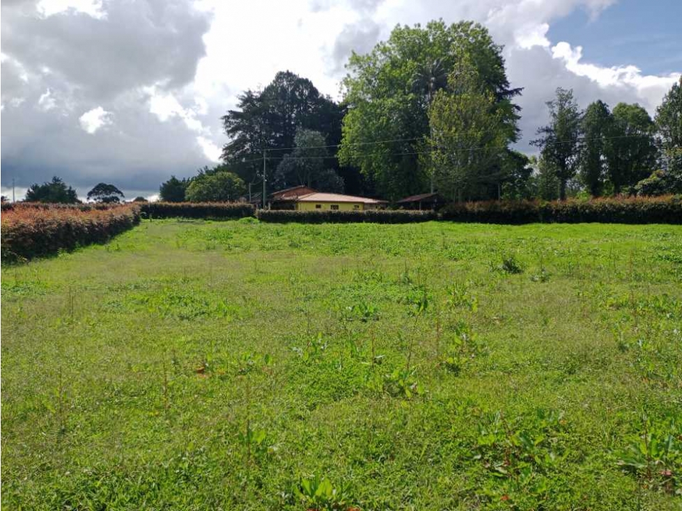 LINDOS LOTES EN PARCELACIÓN EN VENTA EN EL CARMEN DE VÍBORAL ANTIOQUIA