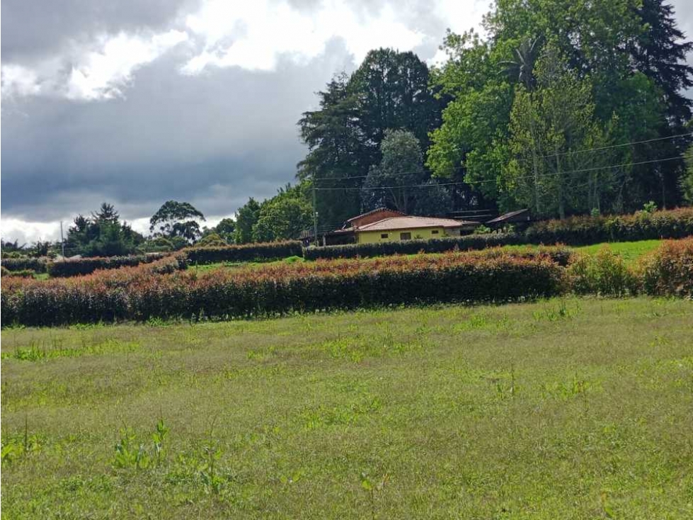 LINDOS LOTES EN PARCELACIÓN EN VENTA EN EL CARMEN DE VÍBORAL ANTIOQUIA — foto 2