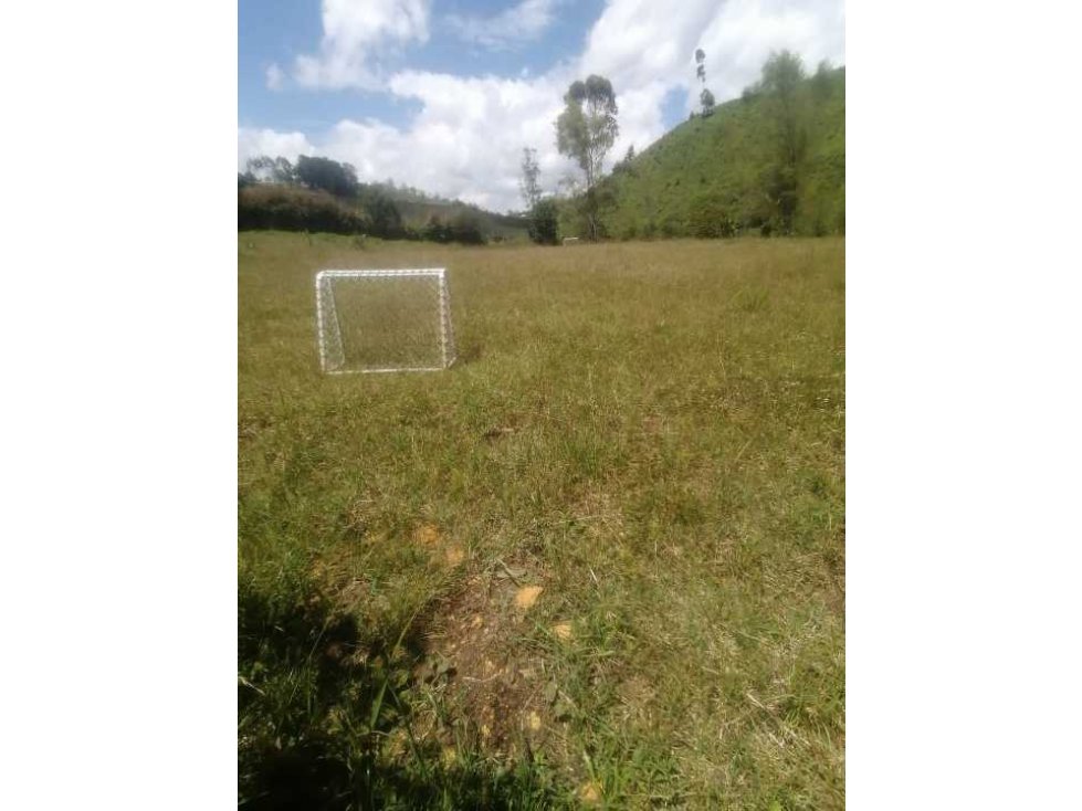 LINDOS LOTES EN PROINDIVISO CON EXCELENTE UBICACIÓN, PRECIO Y VISTA - 2