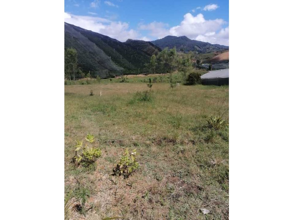 LINDOS LOTES EN PROINDIVISO CON EXCELENTE UBICACIÓN, PRECIO Y VISTA - 4