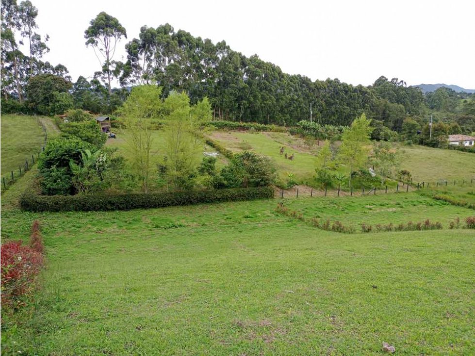 OPORTUNIDAD HERMOSOS LOTES CAMPESTRES EN VENTA EN EL CARMEN DE VIBORAL — foto 2