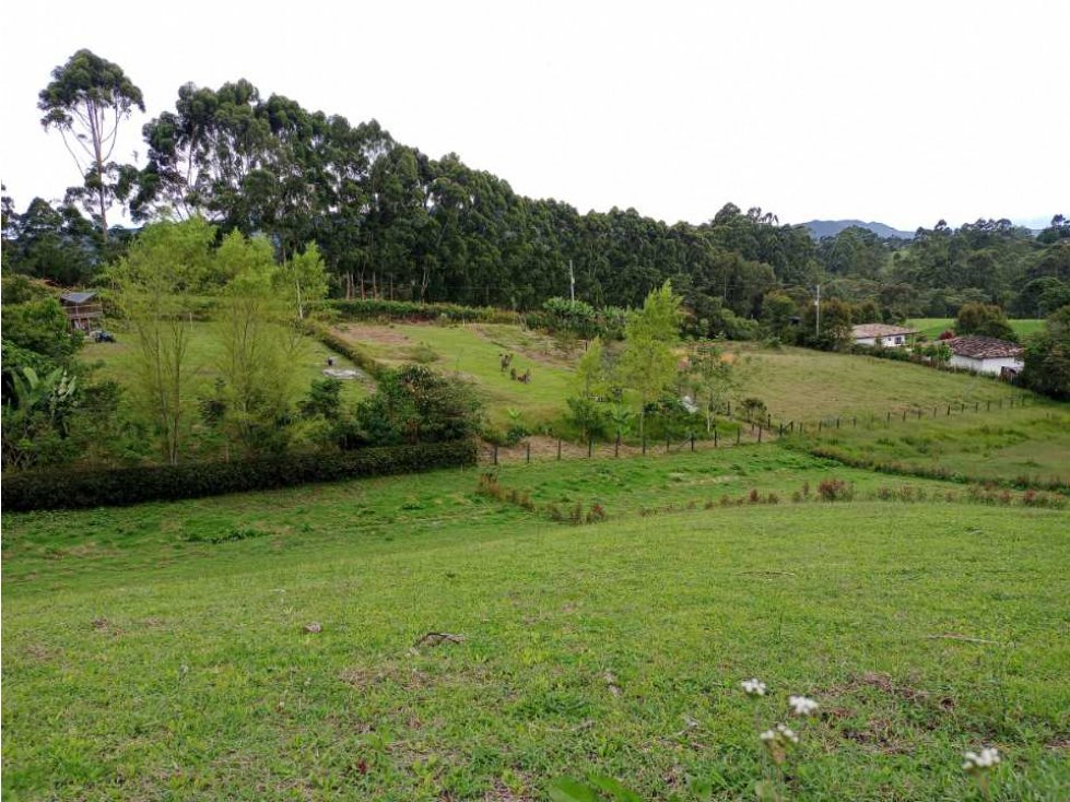 OPORTUNIDAD HERMOSOS LOTES CAMPESTRES EN VENTA EN EL CARMEN DE VIBORAL — foto 3