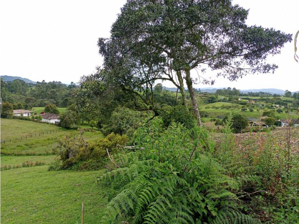 OPORTUNIDAD HERMOSOS LOTES CAMPESTRES EN VENTA EN EL CARMEN DE VIBORAL — foto 4