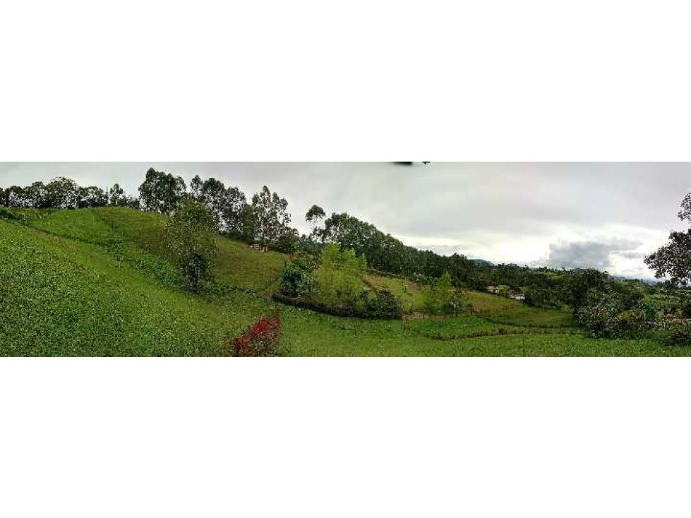 OPORTUNIDAD HERMOSOS LOTES CAMPESTRES EN VENTA EN EL CARMEN DE VIBORAL — foto 5