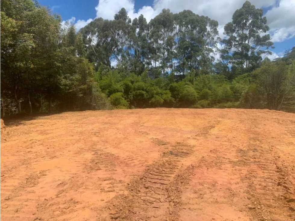 LINDOS LOTES EN VENTA CON EXCELENTE UBICACIÓN EN EL CARMEN DE VÍBORAL. — foto 2