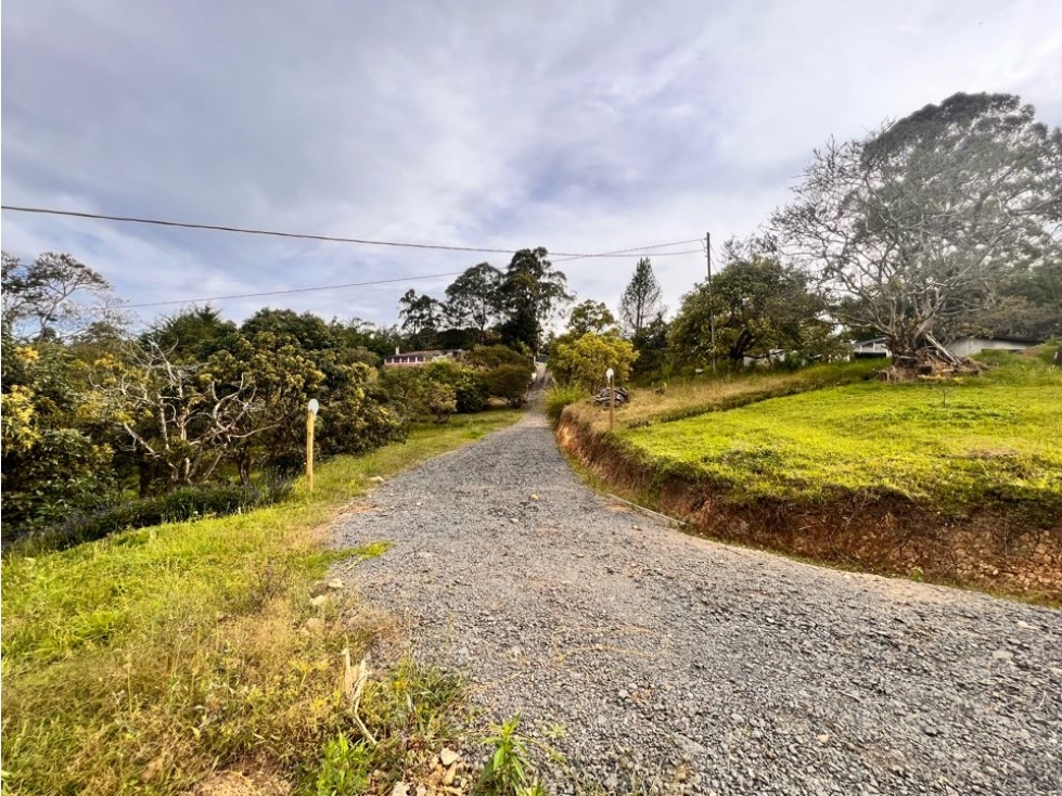 LINDOS LOTES EN VENTA CON EXCELENTE UBICACIÓN EN EL CARMEN DE VÍBORAL. — foto 2