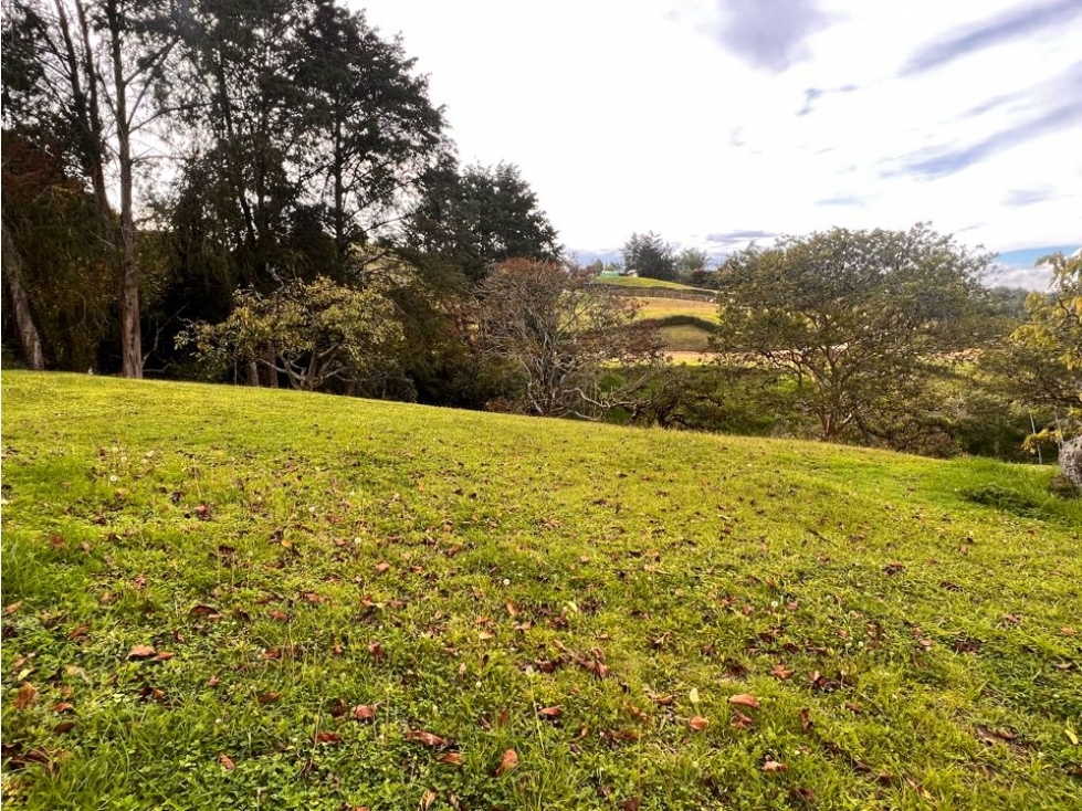 LINDOS LOTES EN VENTA CON EXCELENTE UBICACIÓN EN EL CARMEN DE VÍBORAL. — foto 3