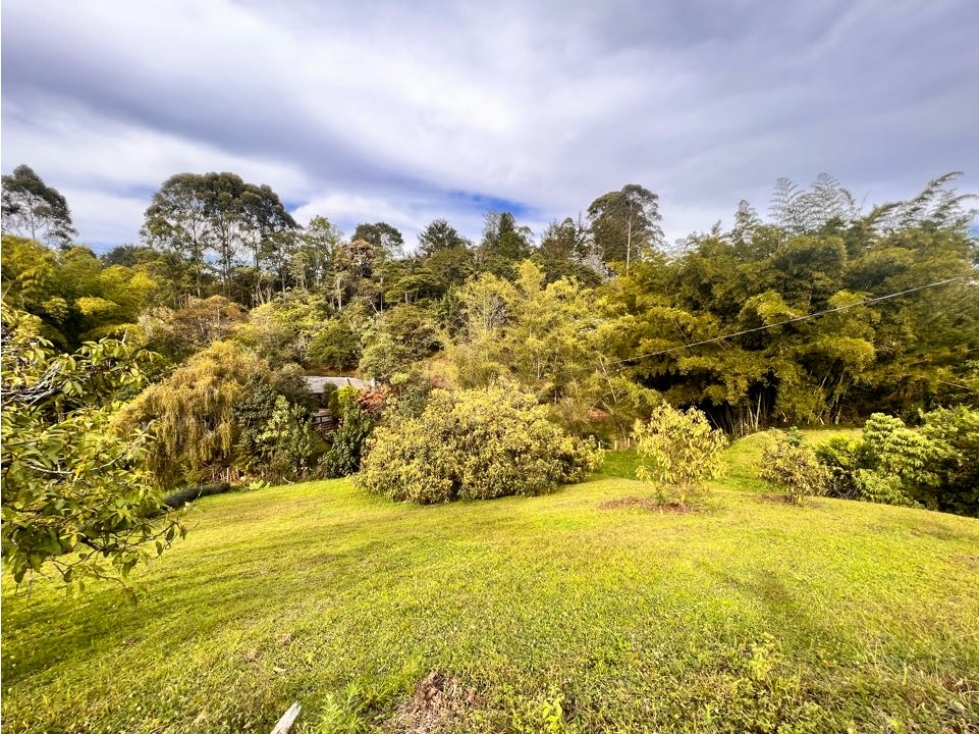 LINDOS LOTES EN VENTA CON EXCELENTE UBICACIÓN EN EL CARMEN DE VÍBORAL. — foto 4