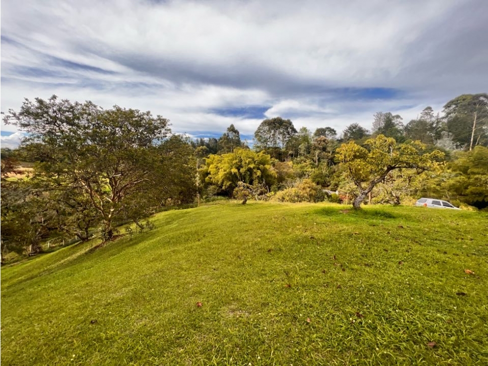 LINDOS LOTES EN VENTA CON EXCELENTE UBICACIÓN EN EL CARMEN DE VÍBORAL. — foto 5