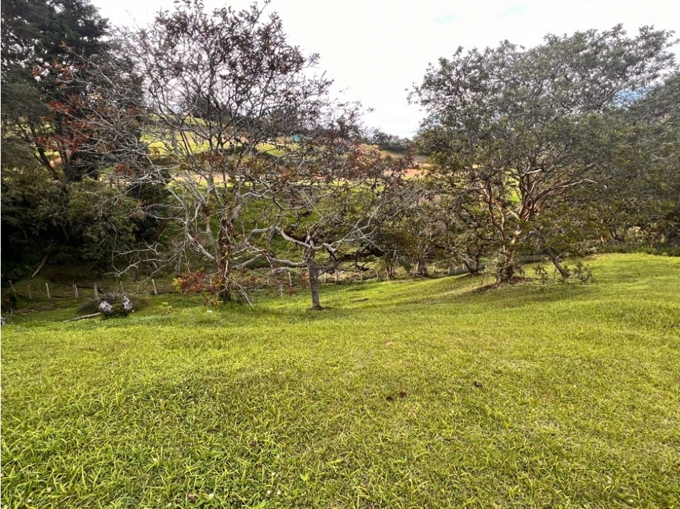 LINDOS LOTES EN VENTA CON EXCELENTE UBICACIÓN EN EL CARMEN DE VÍBORAL. — foto 6