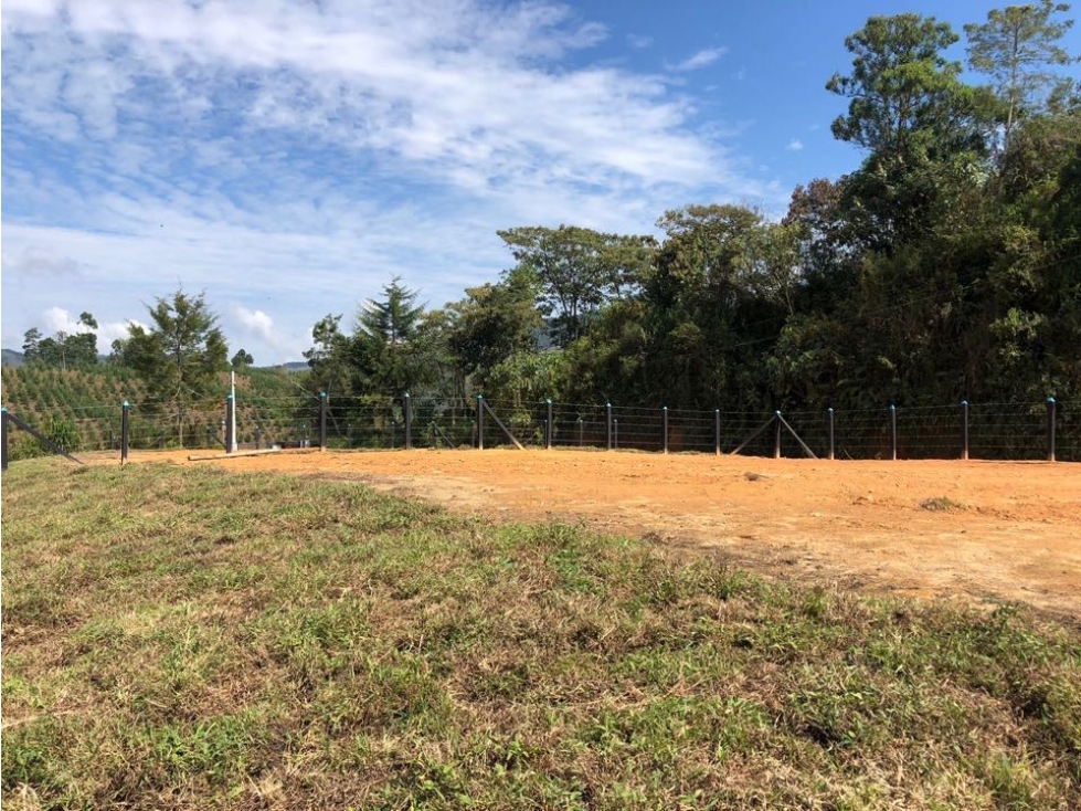LINDOS LOTES EN VENTA CON EXCELENTE UBICACIÓN EN EL CARMEN DE VÍBORAL — foto 2