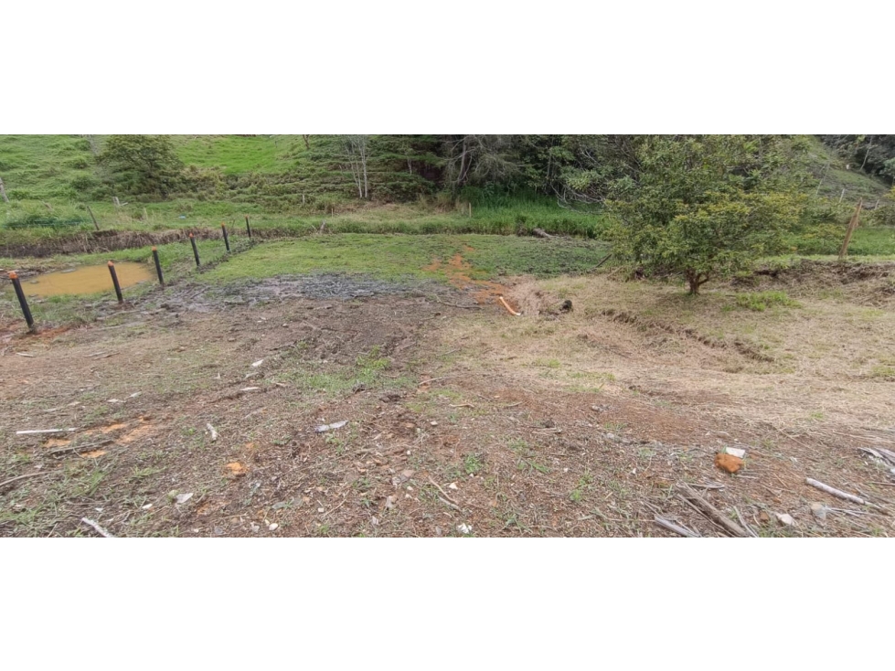 LINDOS LOTES EN VENTA EN LA VEREDA QUIRAMA MUY CERCA A LA VÍA LA CEJA. — foto 5