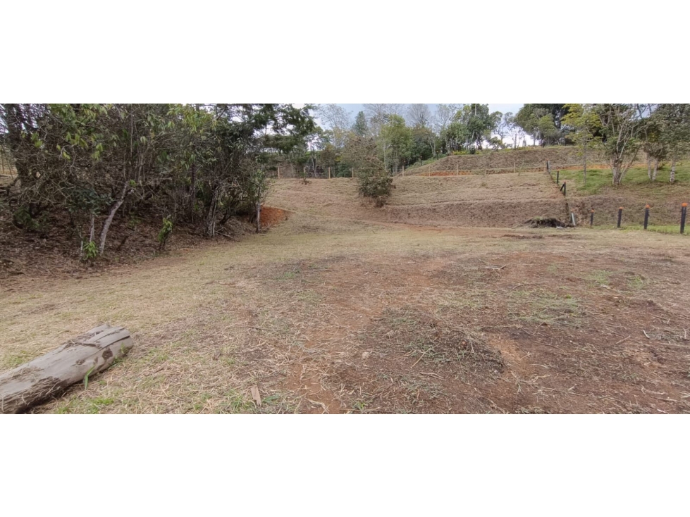 LINDOS LOTES EN VENTA EN LA VEREDA QUIRAMA MUY CERCA A LA VÍA LA CEJA. — foto 2