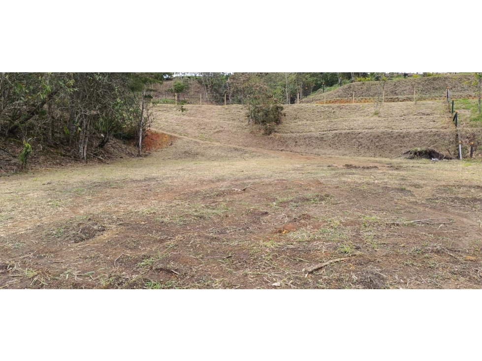 LINDOS LOTES EN VENTA EN LA VEREDA QUIRAMA MUY CERCA A LA VÍA LA CEJA. — foto 3