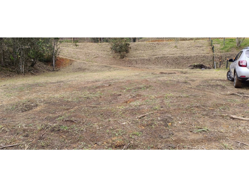 LINDOS LOTES EN VENTA EN LA VEREDA QUIRAMA MUY CERCA A LA VÍA LA CEJA.