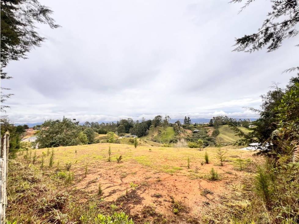 LINDOS LOTES EN VENTA EN RÍONEGRO SECTOR LOS COLEGIOS-EXCELENTE PRECIO — foto 2