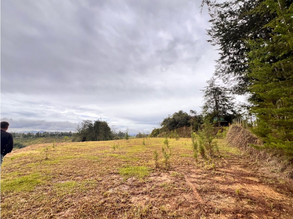 LINDOS LOTES EN VENTA EN RÍONEGRO SECTOR LOS COLEGIOS-EXCELENTE PRECIO — foto 4