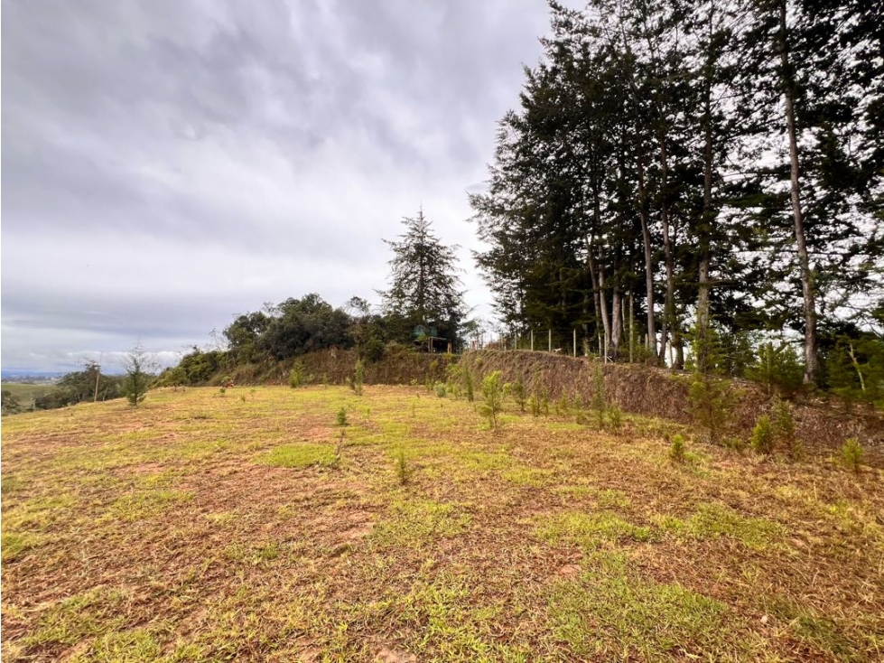 LINDOS LOTES EN VENTA EN RÍONEGRO SECTOR LOS COLEGIOS-EXCELENTE PRECIO — foto 5