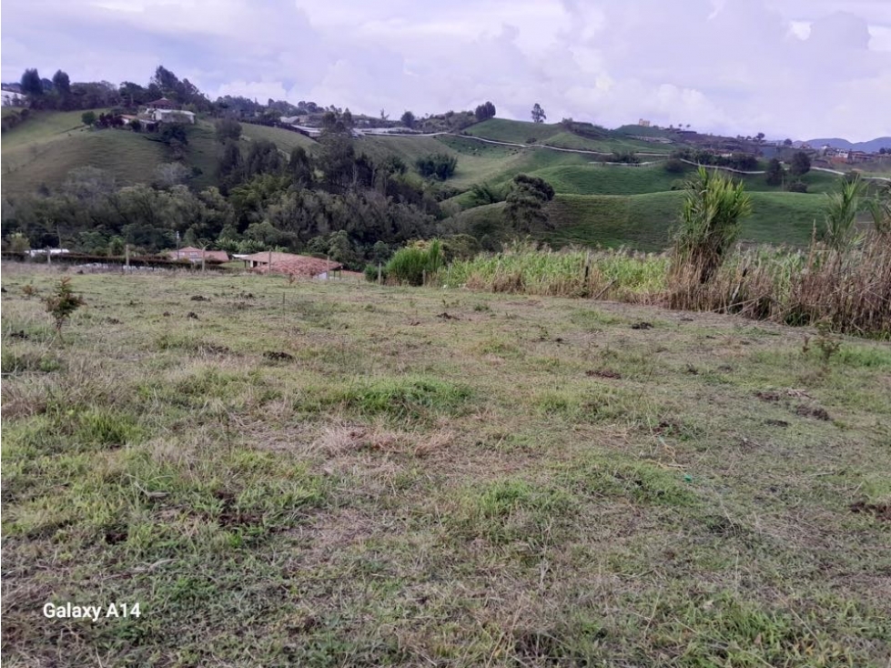 LINDOS LOTES EN VENTA SOBRE VIA EN LA VEREDA ALTO GRANDE - CARMEN VIB — foto 3