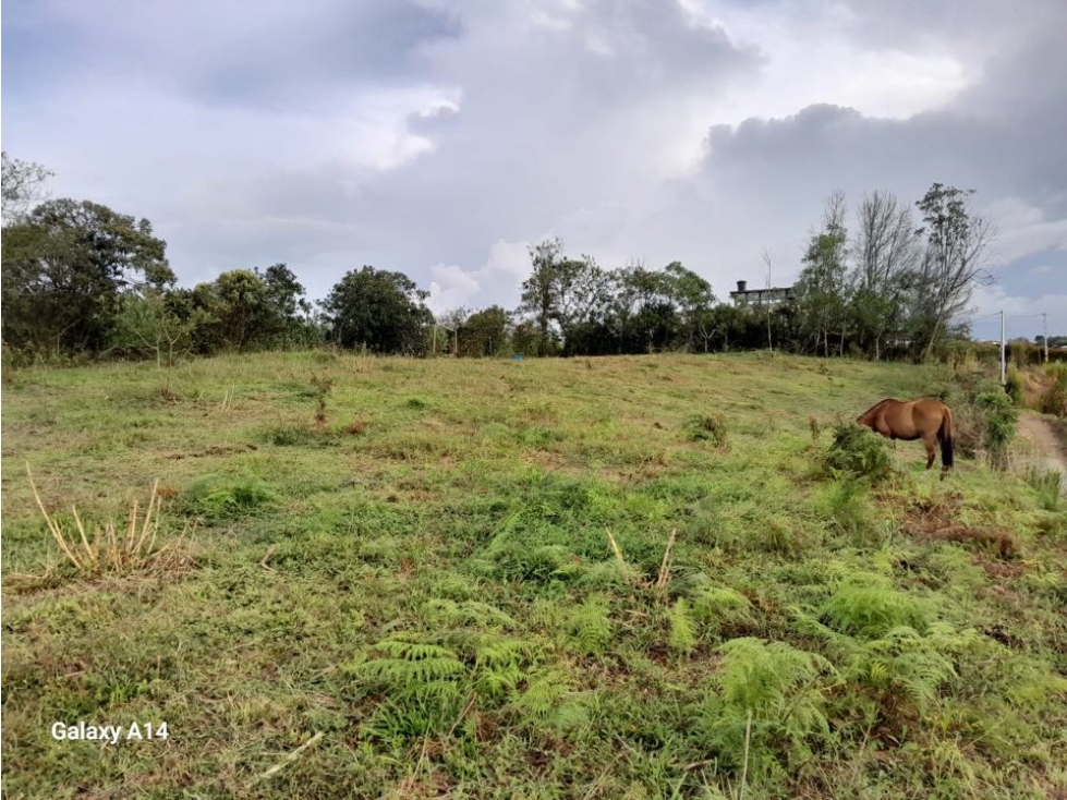 LINDOS LOTES EN VENTA SOBRE VIA EN LA VEREDA ALTO GRANDE - CARMEN VIB — foto 4