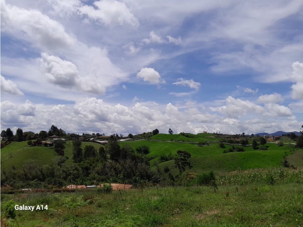 LINDOS LOTES EN VENTA SOBRE VIA EN LA VEREDA ALTO GRANDE - CARMEN VIB — foto 5