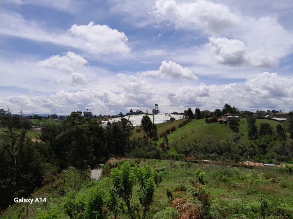 LINDOS LOTES EN VENTA SOBRE VIA EN LA VEREDA ALTO GRANDE - CARMEN VIB — foto 6