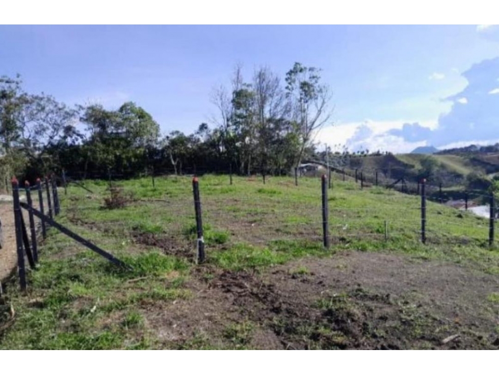 LINDOS LOTES EN VENTA SOBRE VIA EN LA VEREDA ALTO GRANDE - CARMEN VIB