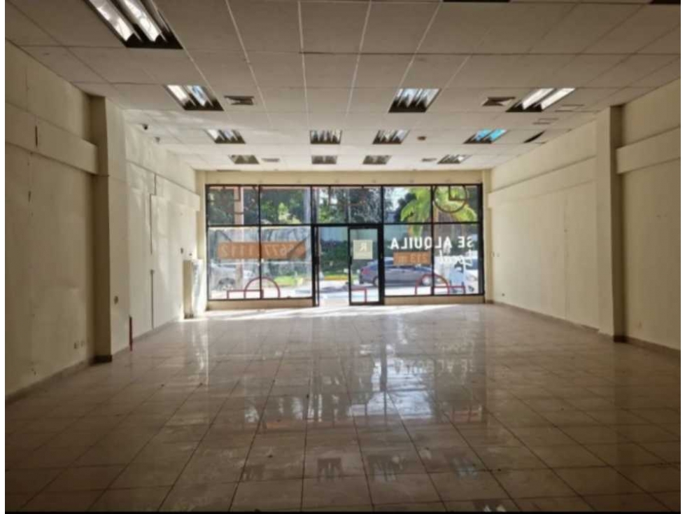 LOCAL COMERCIAL EN ALBROOK COMMERCIAL PARK 193M2 PLANTA BAJA — foto 4