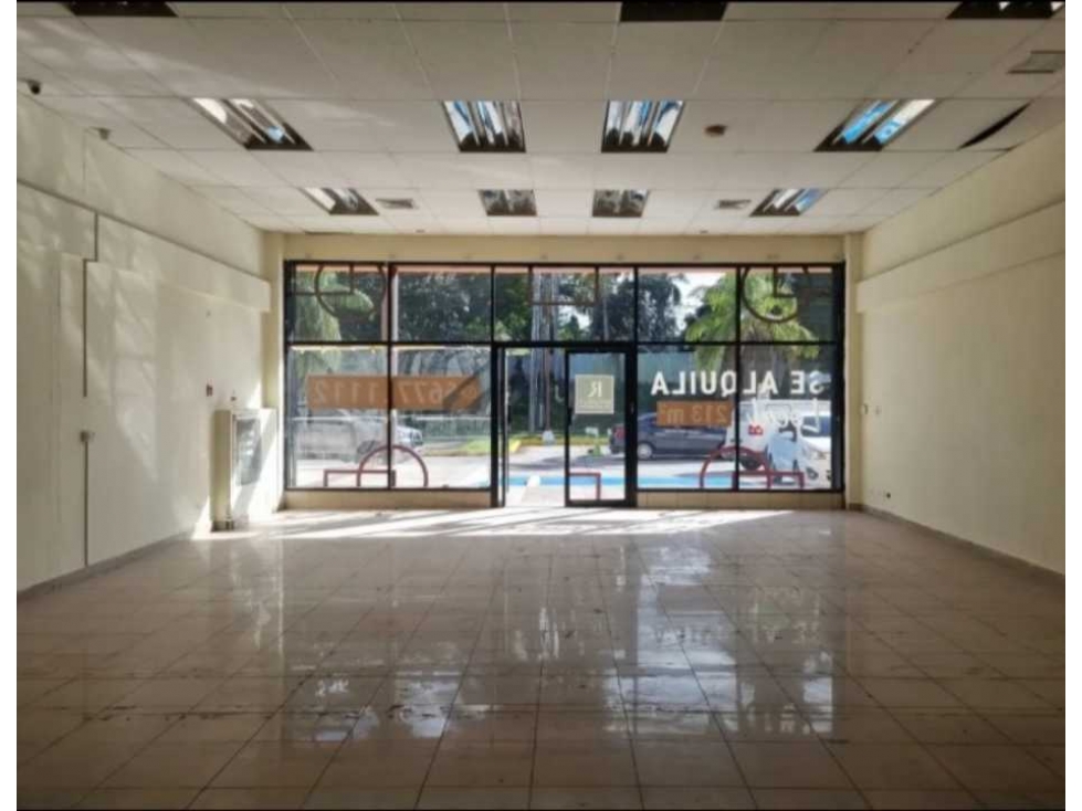 LOCAL COMERCIAL EN ALBROOK COMMERCIAL PARK 193M2 PLANTA BAJA — foto 5