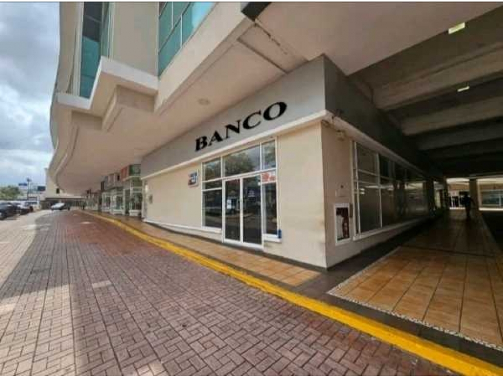 LOCAL COMERCIAL EN EL DORADO CAMINO DE CRUCES 247M2 PLANTA BAJA