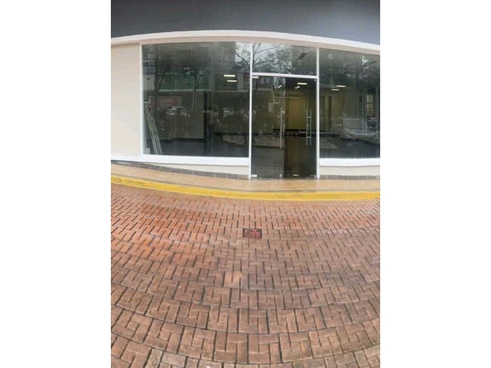 LOCAL COMERCIAL EN EL DORADO CAMINO DE CRUCES 247M2 PLANTA BAJA — foto 4