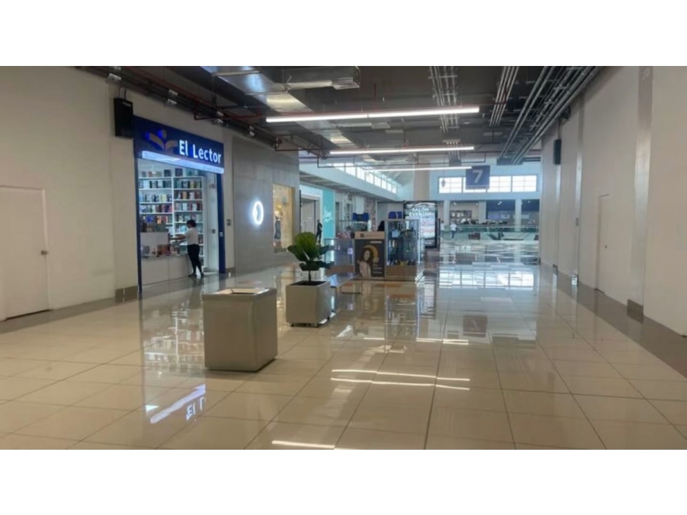 Local Comercial en Venta o Alquiler Federal Mall, David | MM - 6